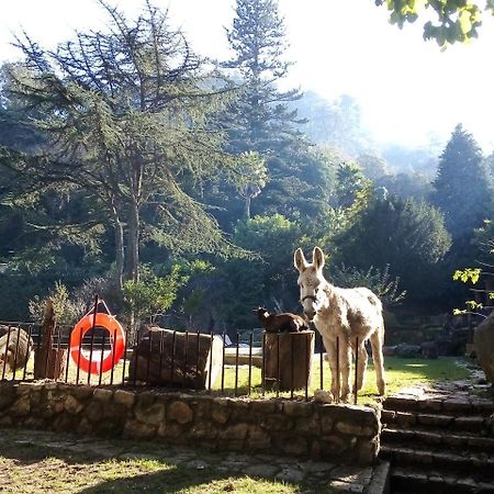 Quinta Do Castanheiro Otel Sintra Dış mekan fotoğraf
